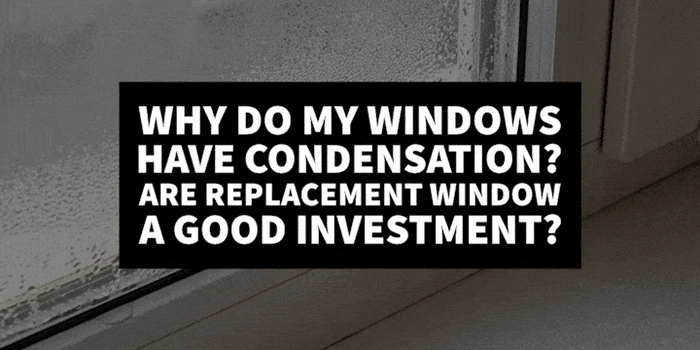Black and white image of window and text: Why Do My Windows Have Condensation? Are Replacement Window a Good Investment?