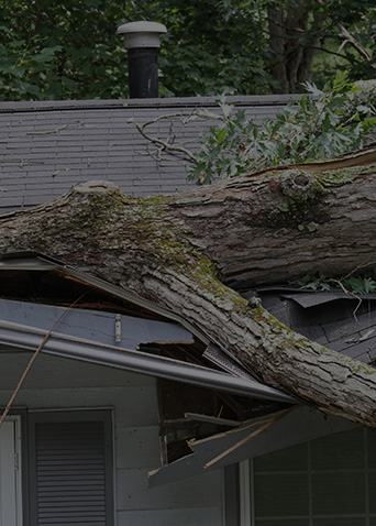 Tree branches fallen on top of residential roof