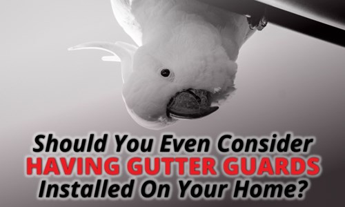 Should You Even Consider Having Gutter Guards Installed On Your Home?