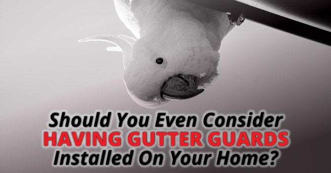 Should You Even Consider Having Gutter Guards Installed On Your Home?