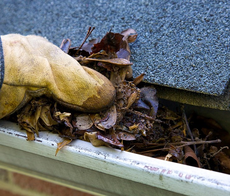 Roof gutter leaf clean out