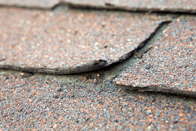 Curling asphalt shingles