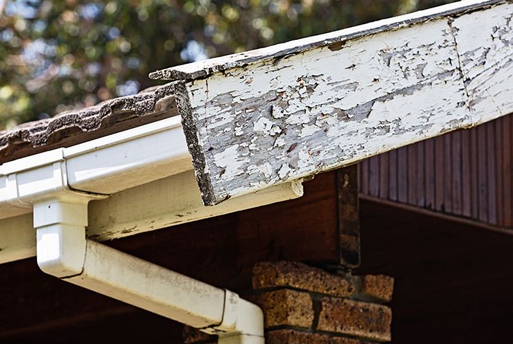 Rotting fascia on roof in New Bedford