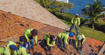 Contact a Roofer