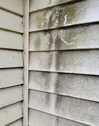 water damage on siding