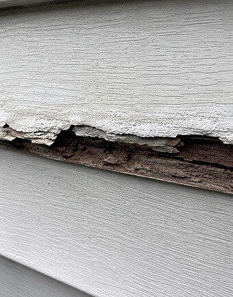 Rotting siding