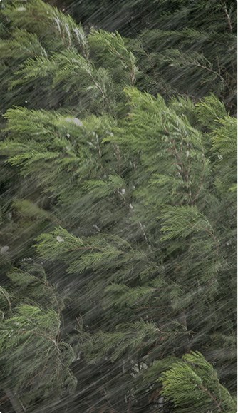 emergency roof repair for storm damage in New Bedford