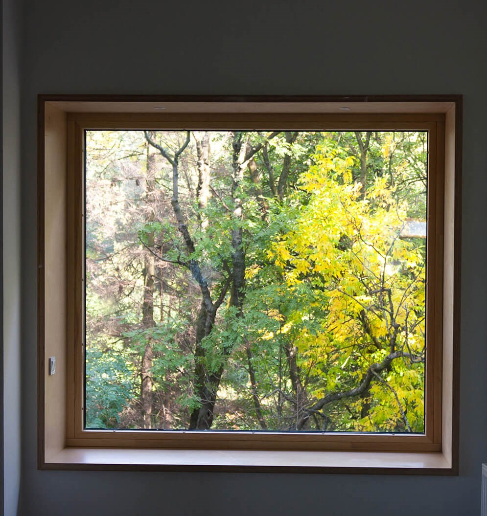 Basement picture window looking into forest